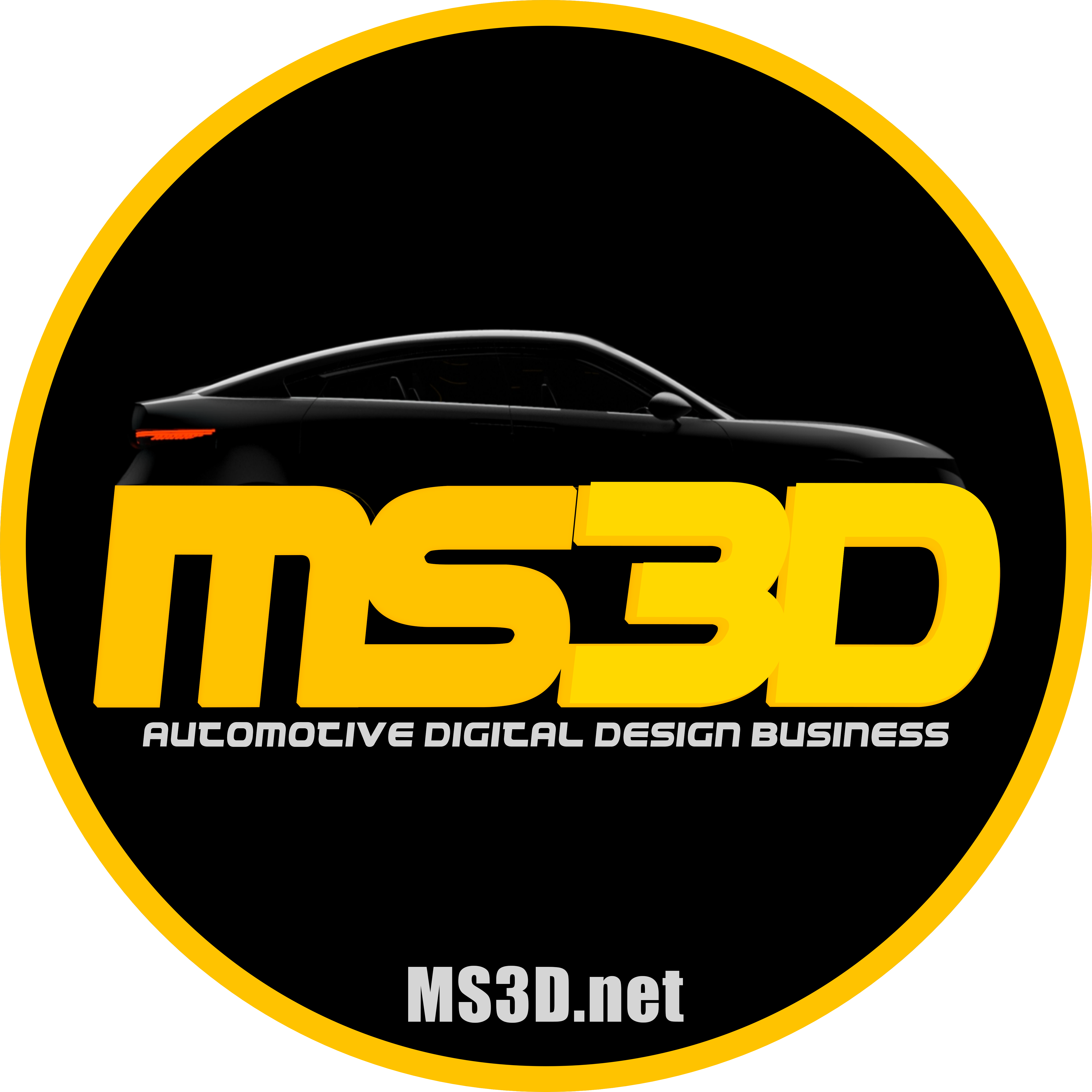 MS3D Mohammad Sadra Babaei